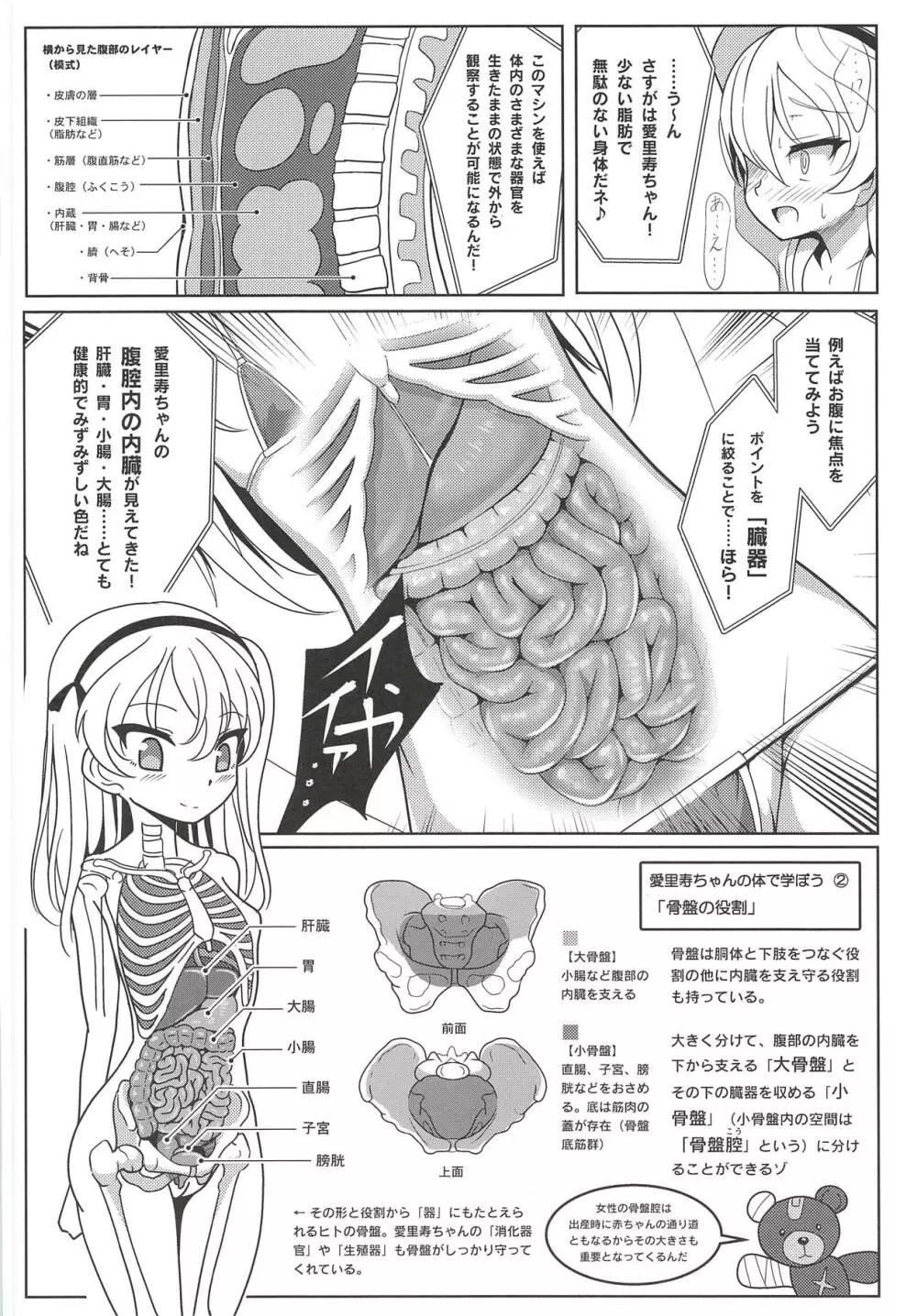 島田愛里寿ちゃんで学ぶ女の子の人体〈骨盤編〉上 - page11