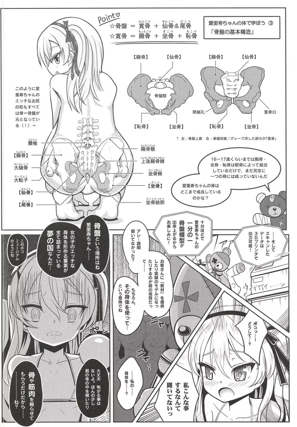 島田愛里寿ちゃんで学ぶ女の子の人体〈骨盤編〉上 - page13