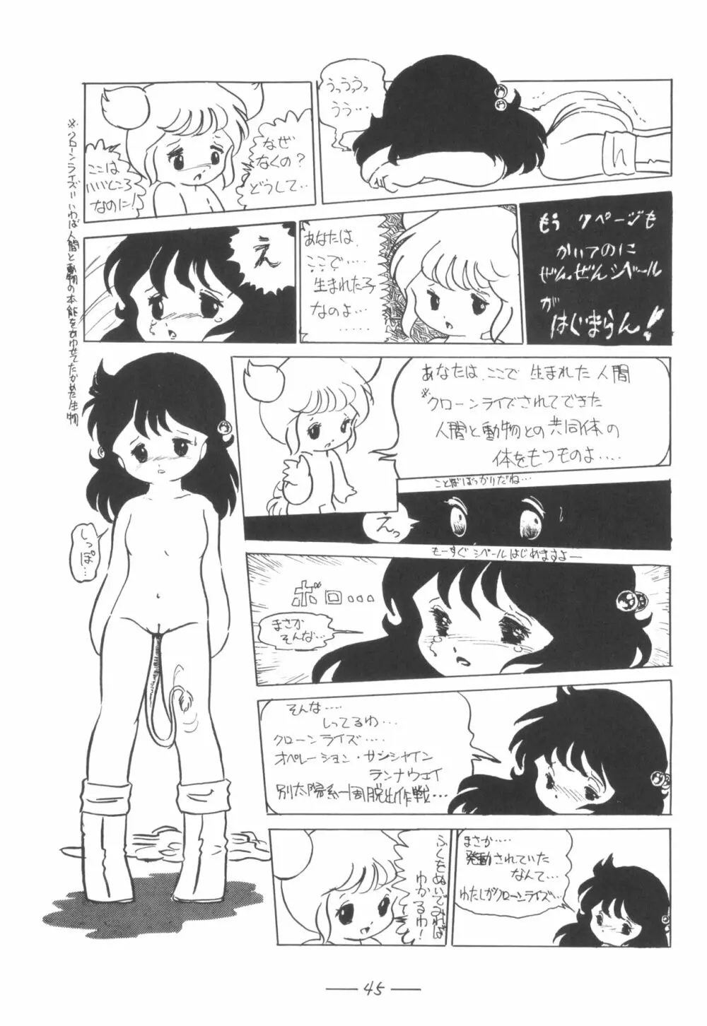 シベール Vol.7 - page46