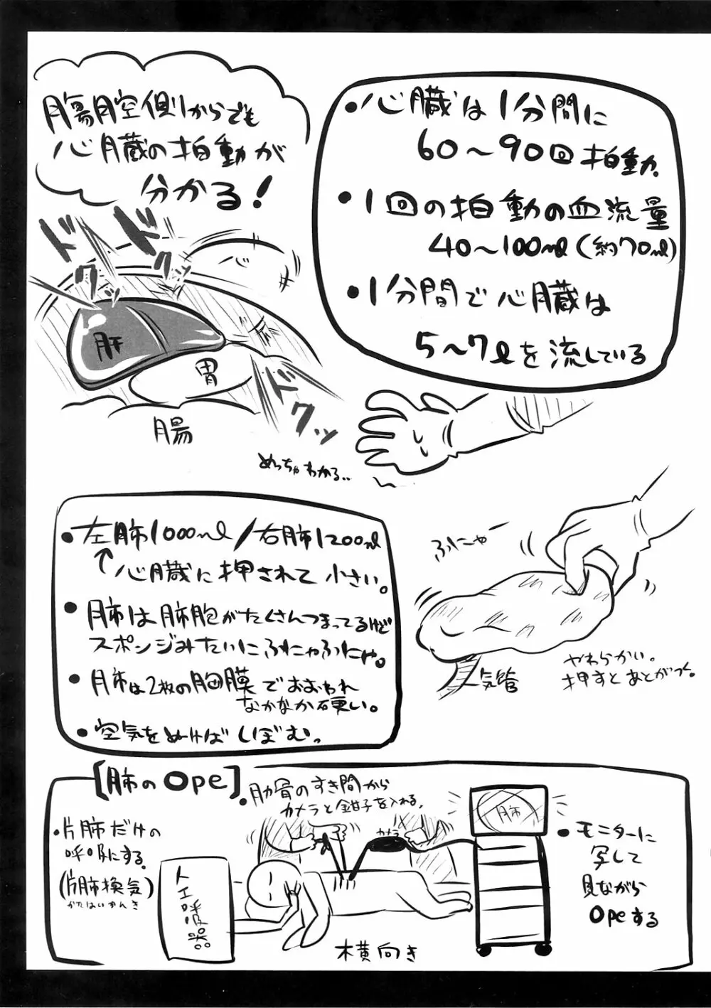 リョナラーのための解剖生理 - page11