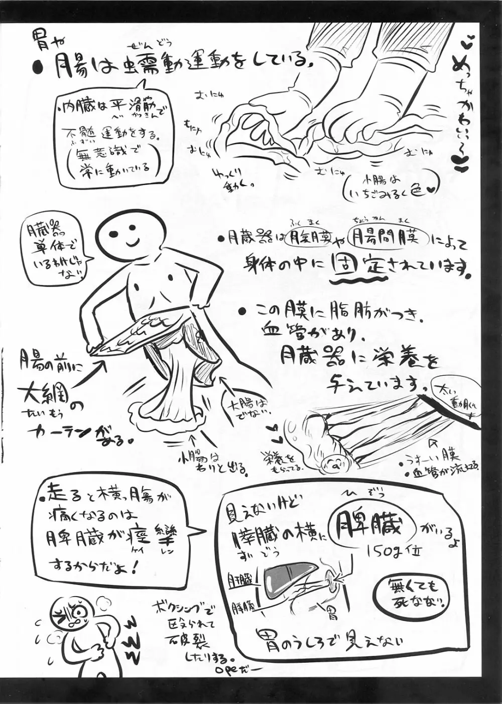 リョナラーのための解剖生理 - page12