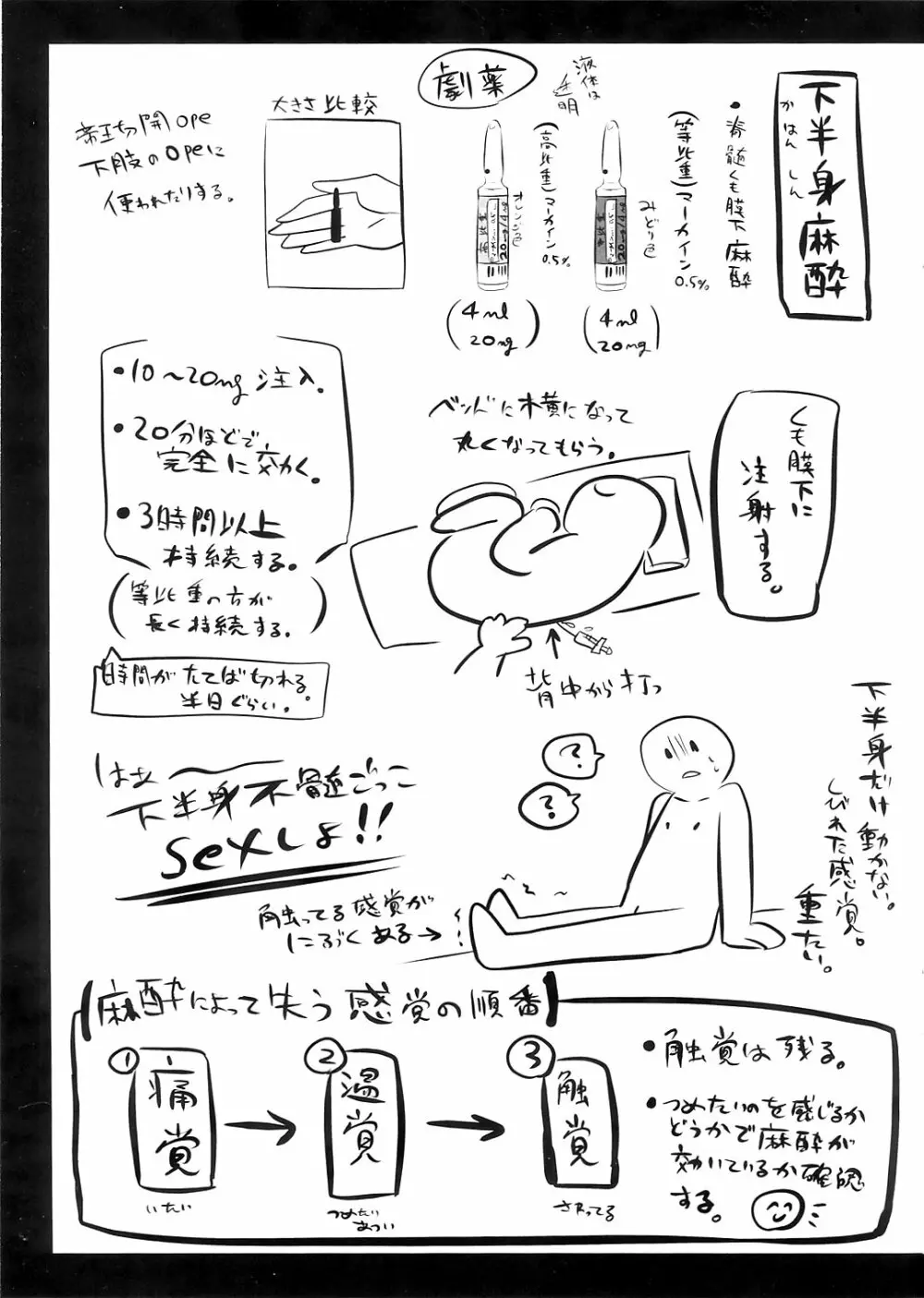 リョナラーのための解剖生理 - page23