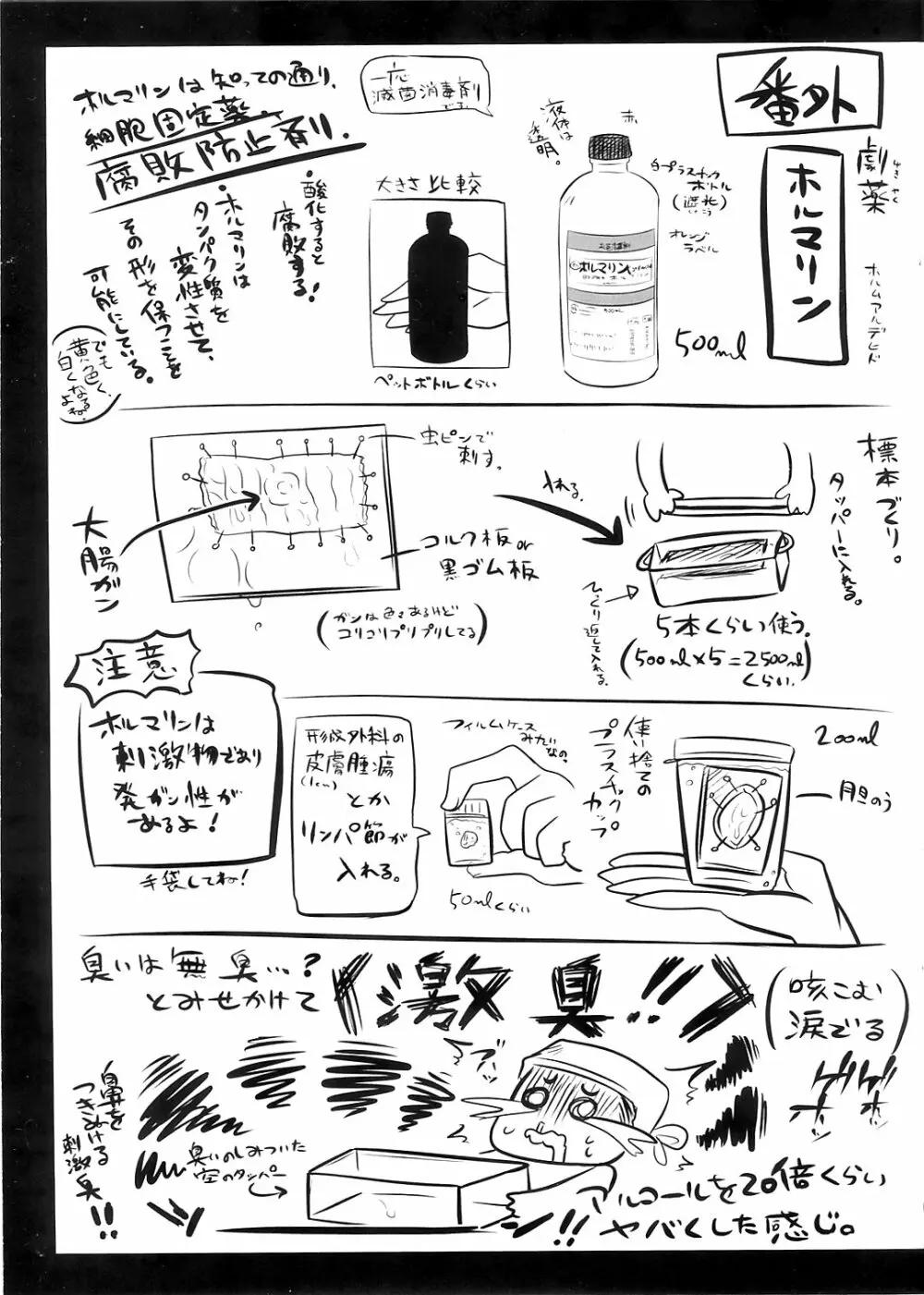 リョナラーのための解剖生理 - page25