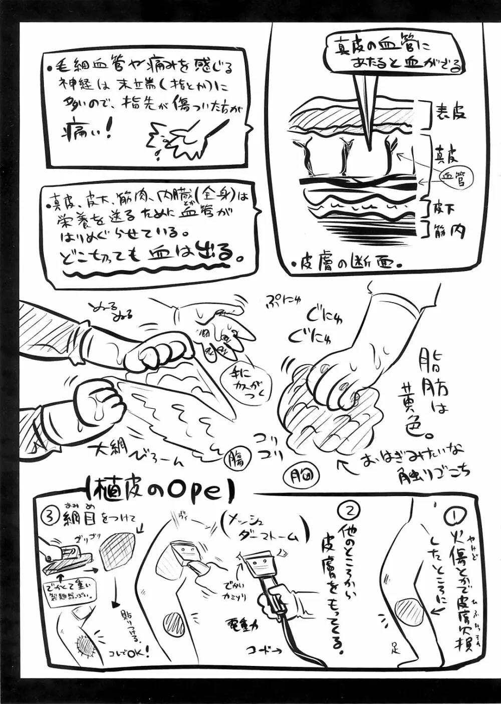 リョナラーのための解剖生理 - page9