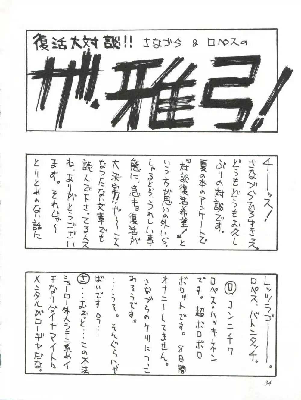 さなづらひろゆきの趣味の同人誌 7 - page34