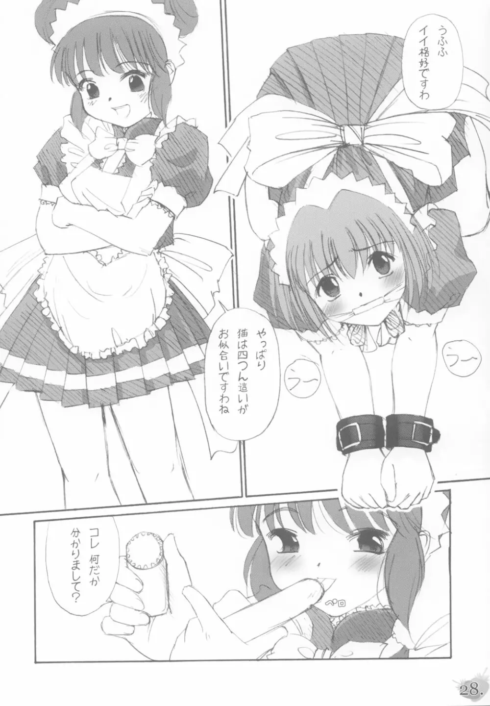 (C63) [G-Power! (Gody、SASAYUKi) YOU ARE THE ONLY version:Tokyo mew mew (東京ミュウミュウ) - page27