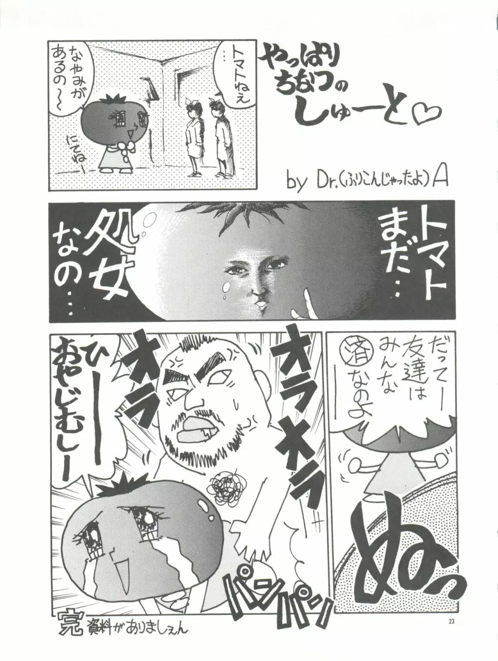 PUSSY-CAT vol.26 セーラームーン3 - page23