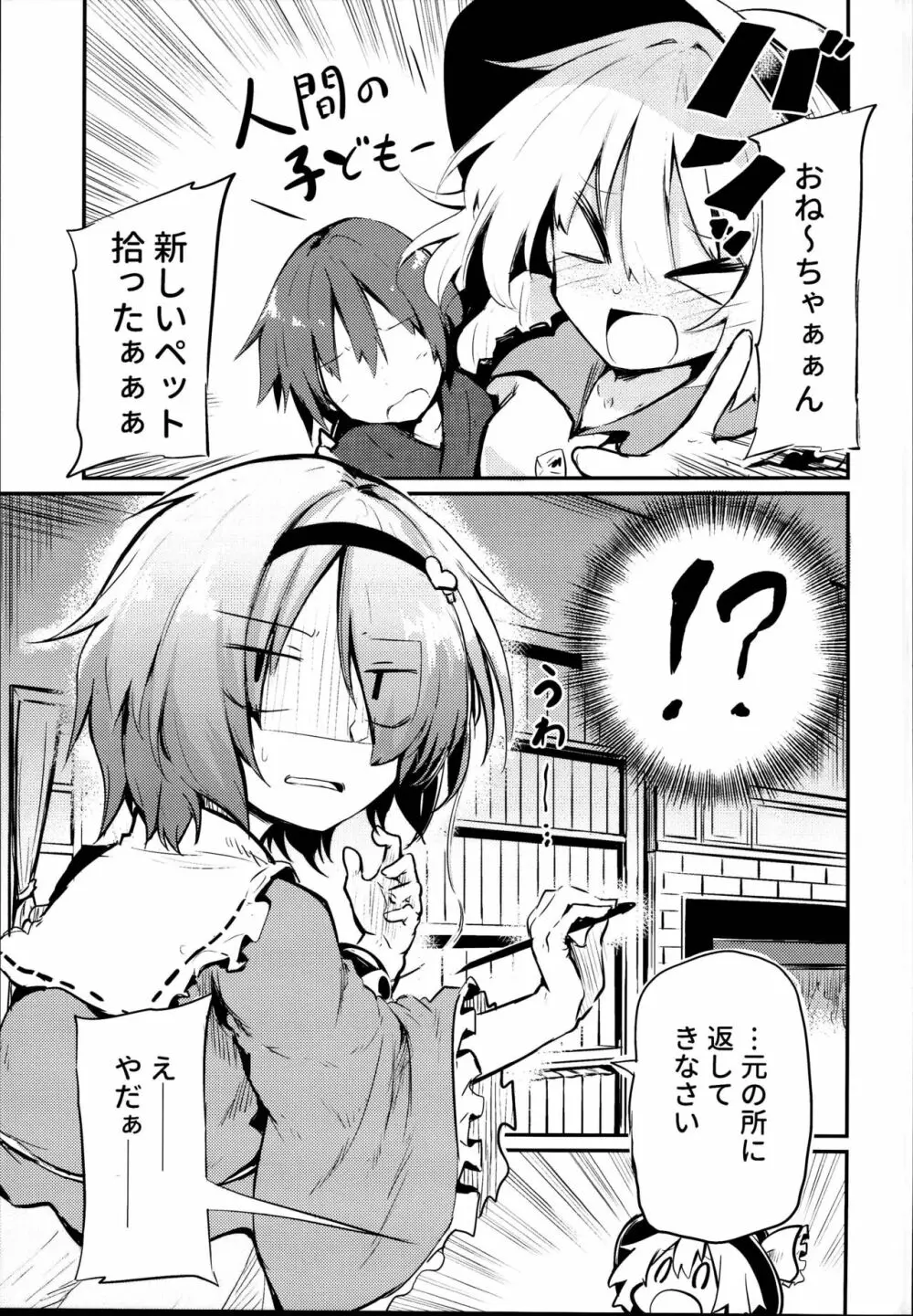 「仕方のない子ですねぇ」と言いながら挿入させてくれるさとりお姉ちゃん - page5