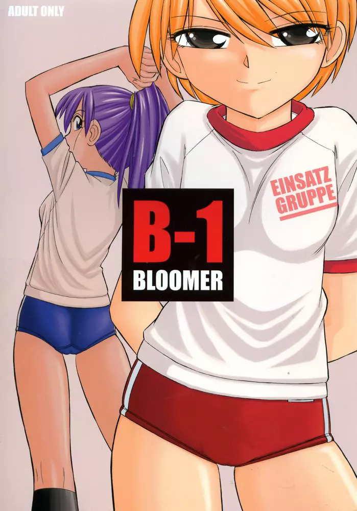 B-1 BLOOMER - page1