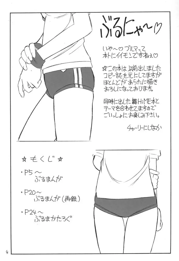 B-1 BLOOMER - page3