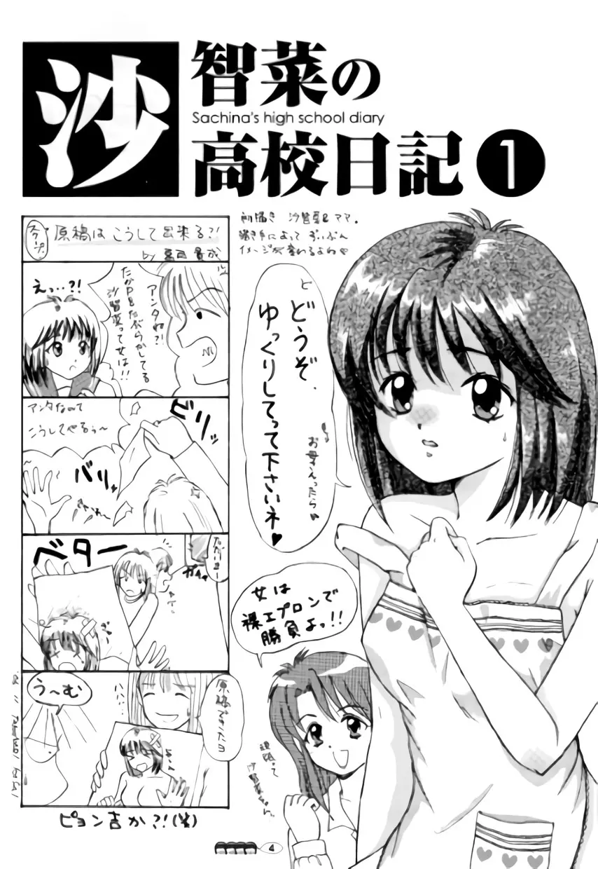 沙智菜の高校日記 1 - page3