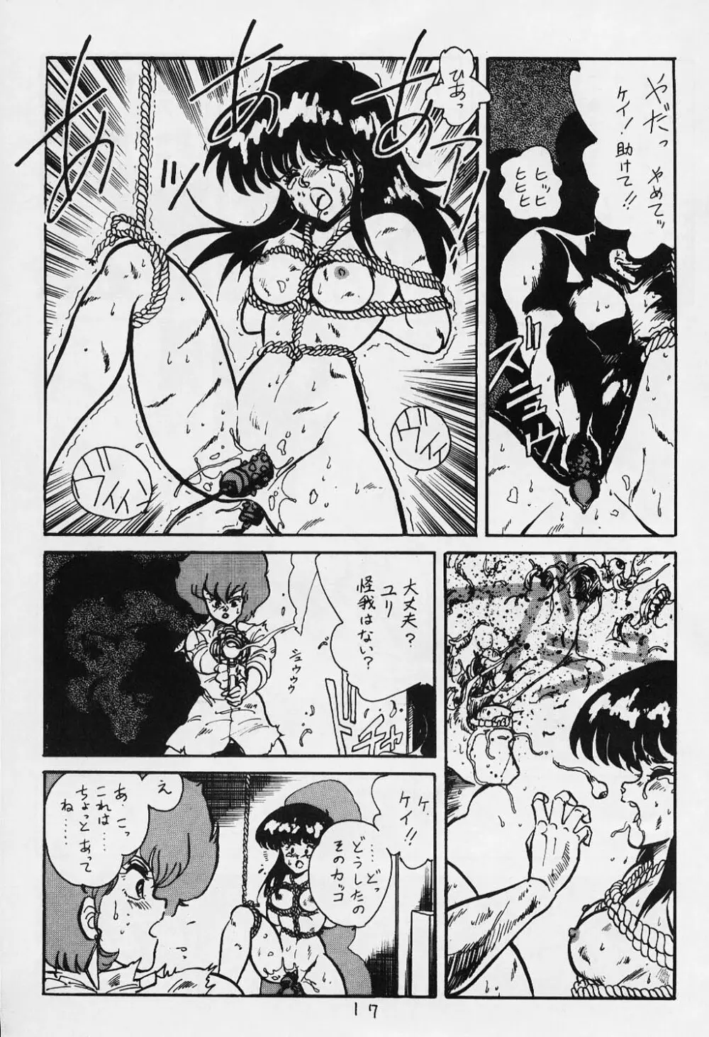 やりたい放題 Vol.1 - page17