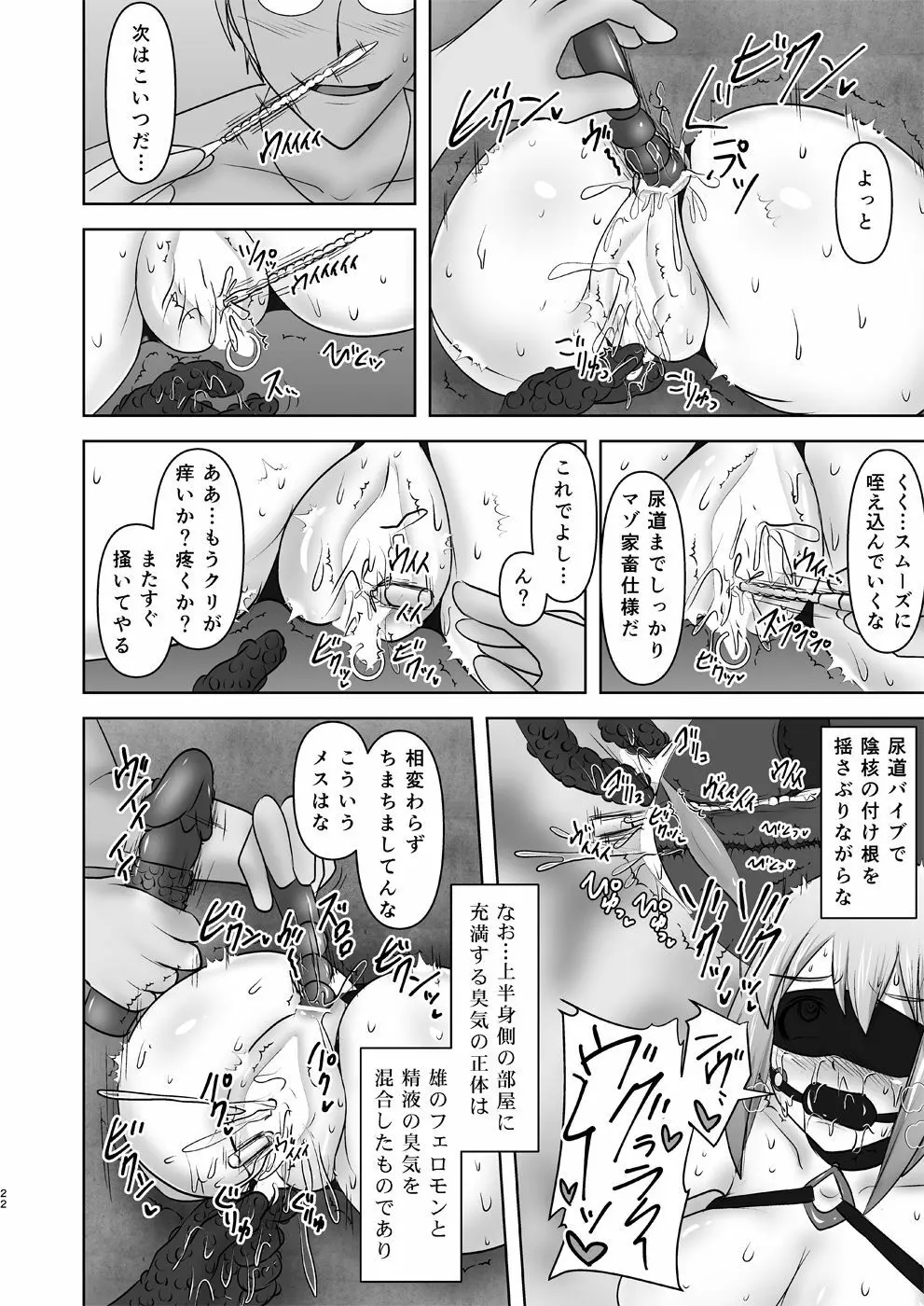 煌盾装騎エルセイン 『恥虐の隷獄島・後編』 - page21