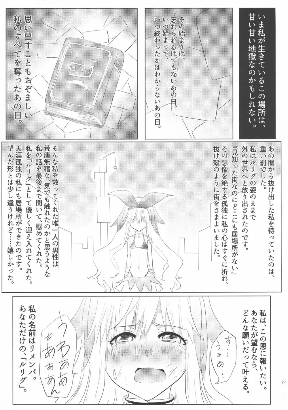 ルリグ研究日誌2016梅雨号 - page29