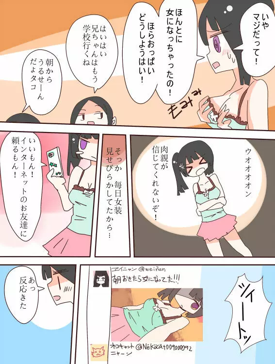 ねえ、女の子になっちゃったってば！ - page6