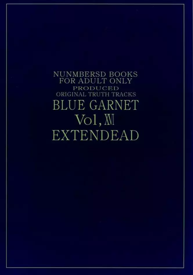 BLUE GARNET ⅩⅥ EXTENDEAD - page41