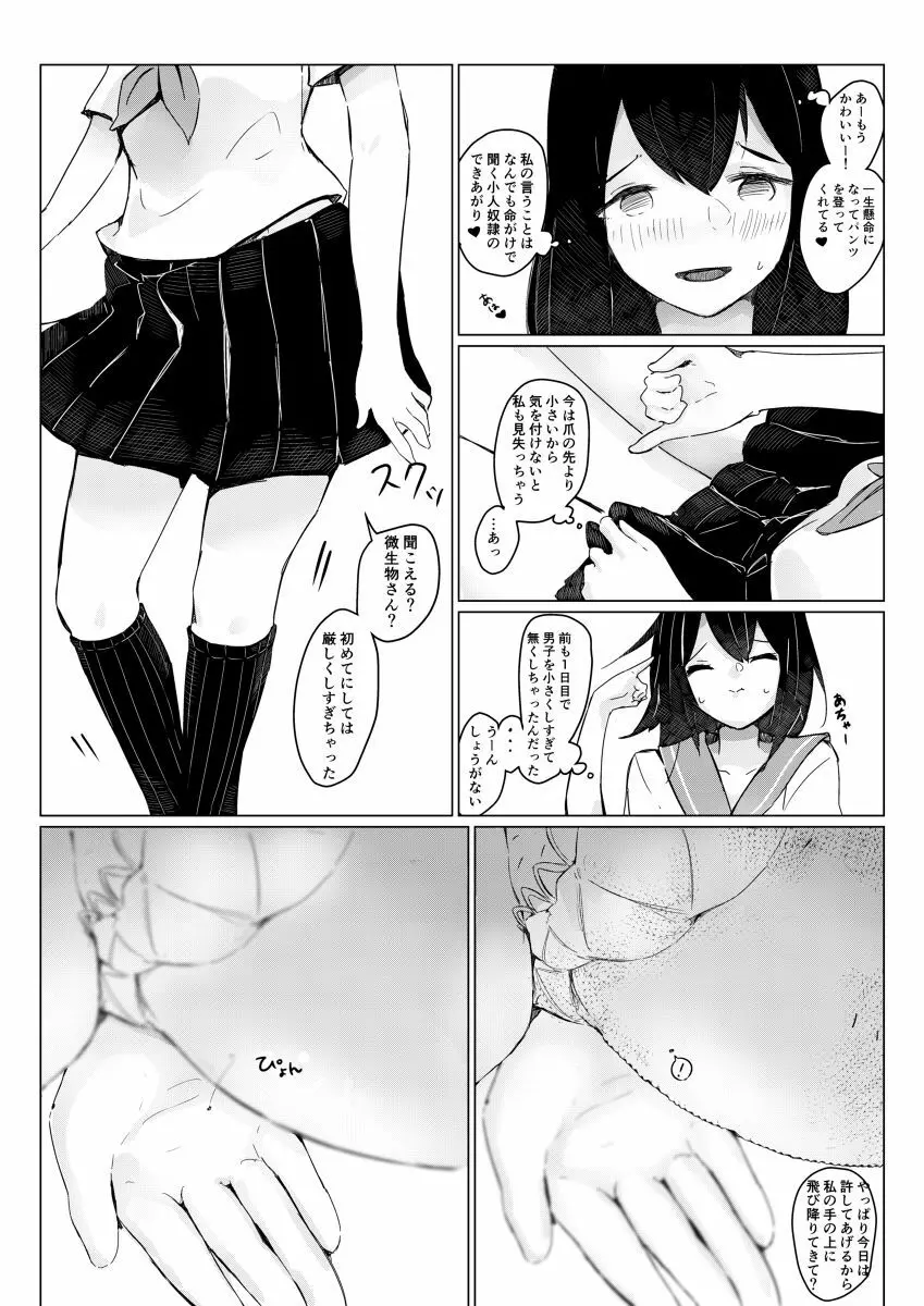 さちえちゃんは小さくしたい2 - page11