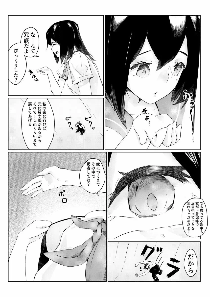 さちえちゃんは小さくしたい2 - page14