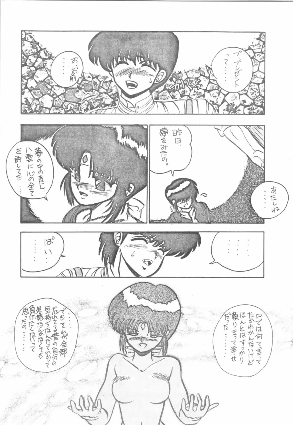 DESIRE テニーレ隊 －新たなる野望－ - page25