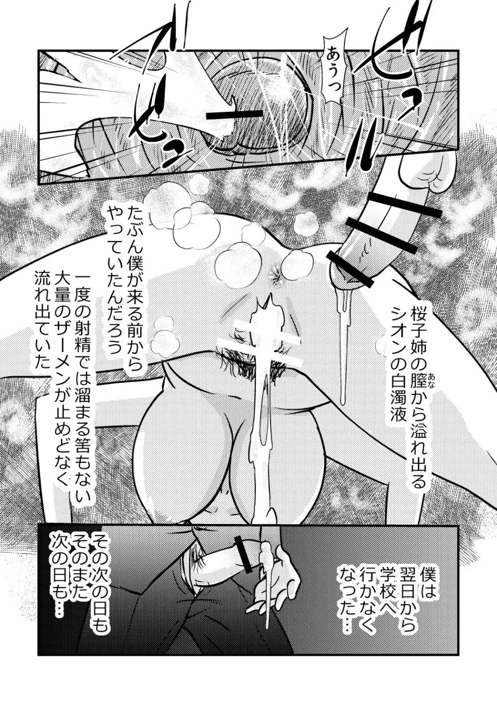 桜子姉 - page29