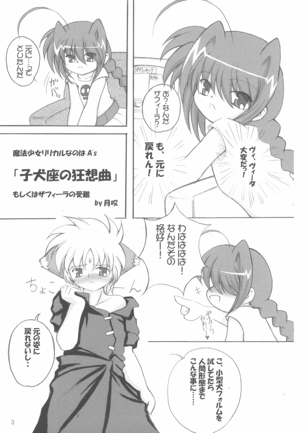 子犬座の協奏曲 - page2