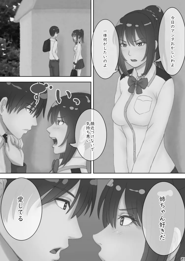 さあ、Ｓな姉をしつけてやろう - page24