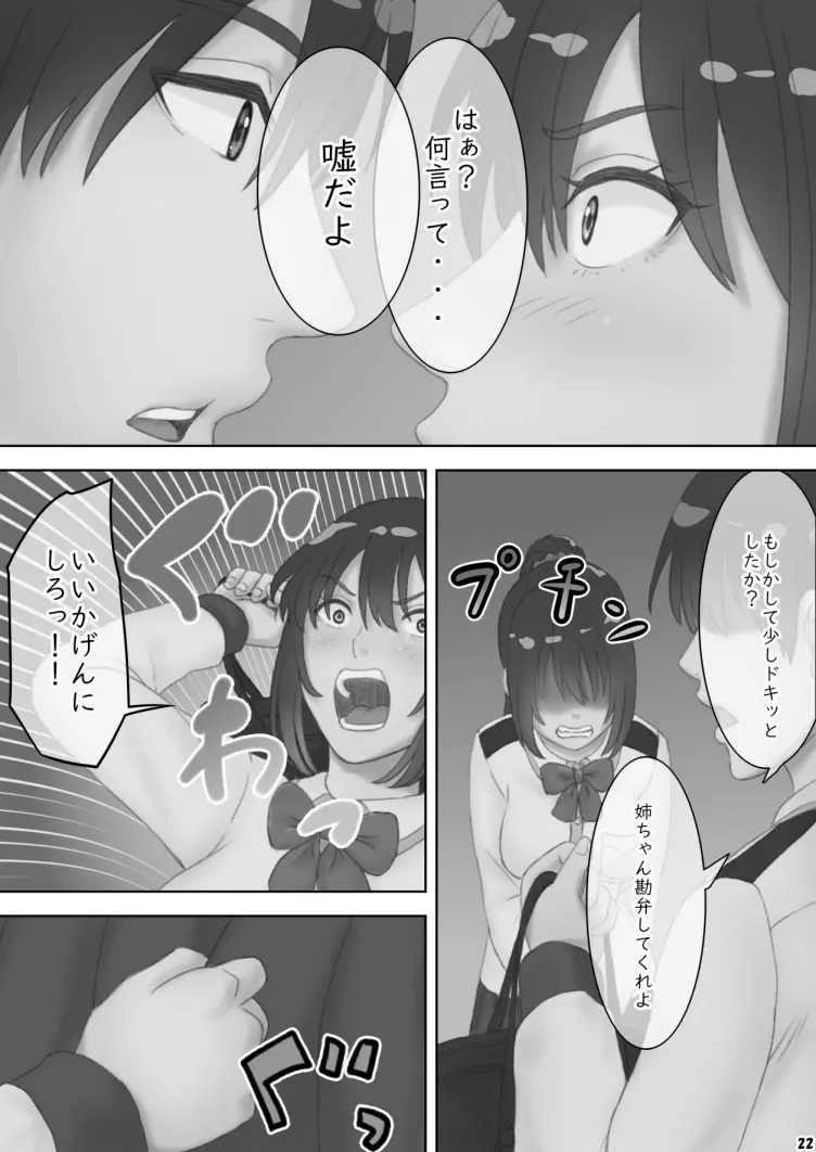 さあ、Ｓな姉をしつけてやろう - page25