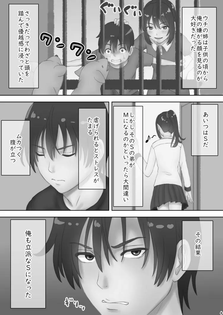 さあ、Ｓな姉をしつけてやろう - page6