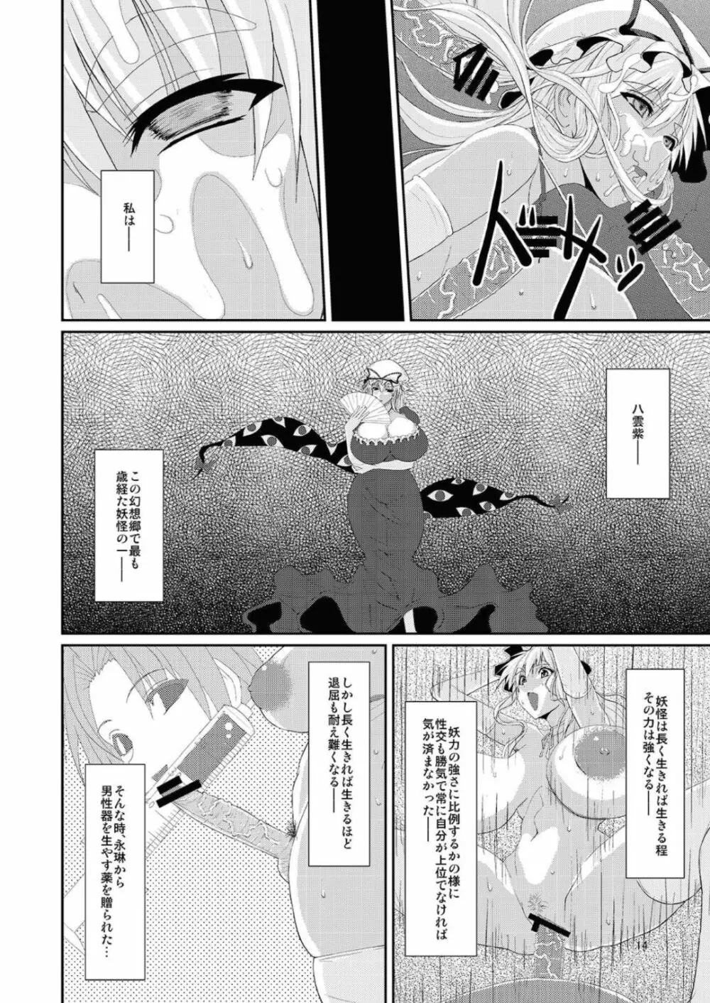 東方年増便所 -双成婆妖怪紫編- - page14