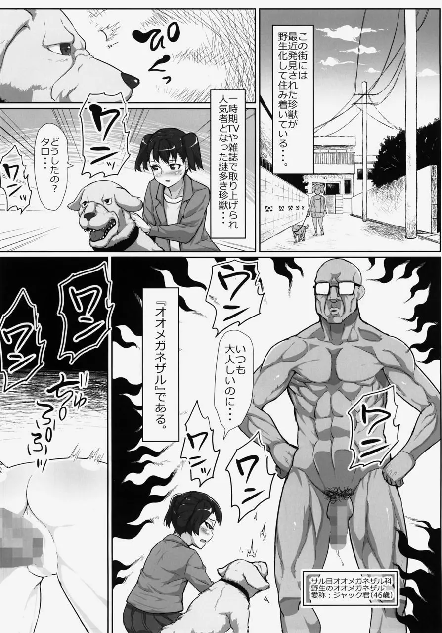 謎多き珍獣オオメガネザルのメスにされた少女たち〜ボランティア 性処理スタッフ〜 - page3