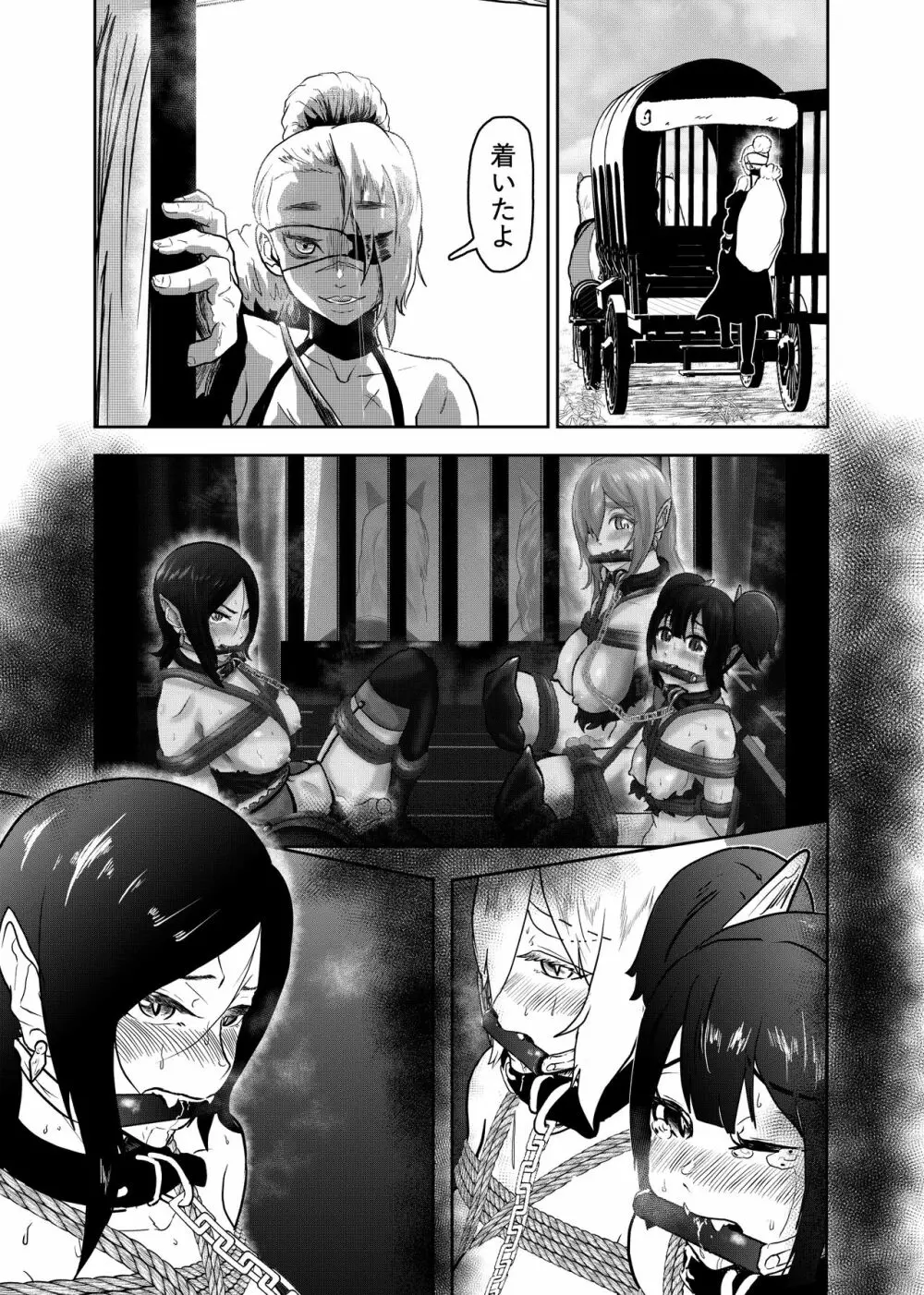 ヴァンパレイド5 ～吸血鬼 三姉妹 捕縛編～ - page3