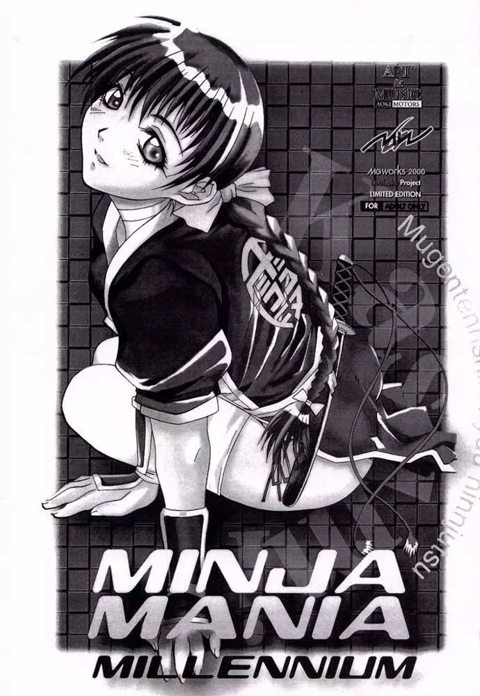 NINJA MANIA MILLENNIUM - page2