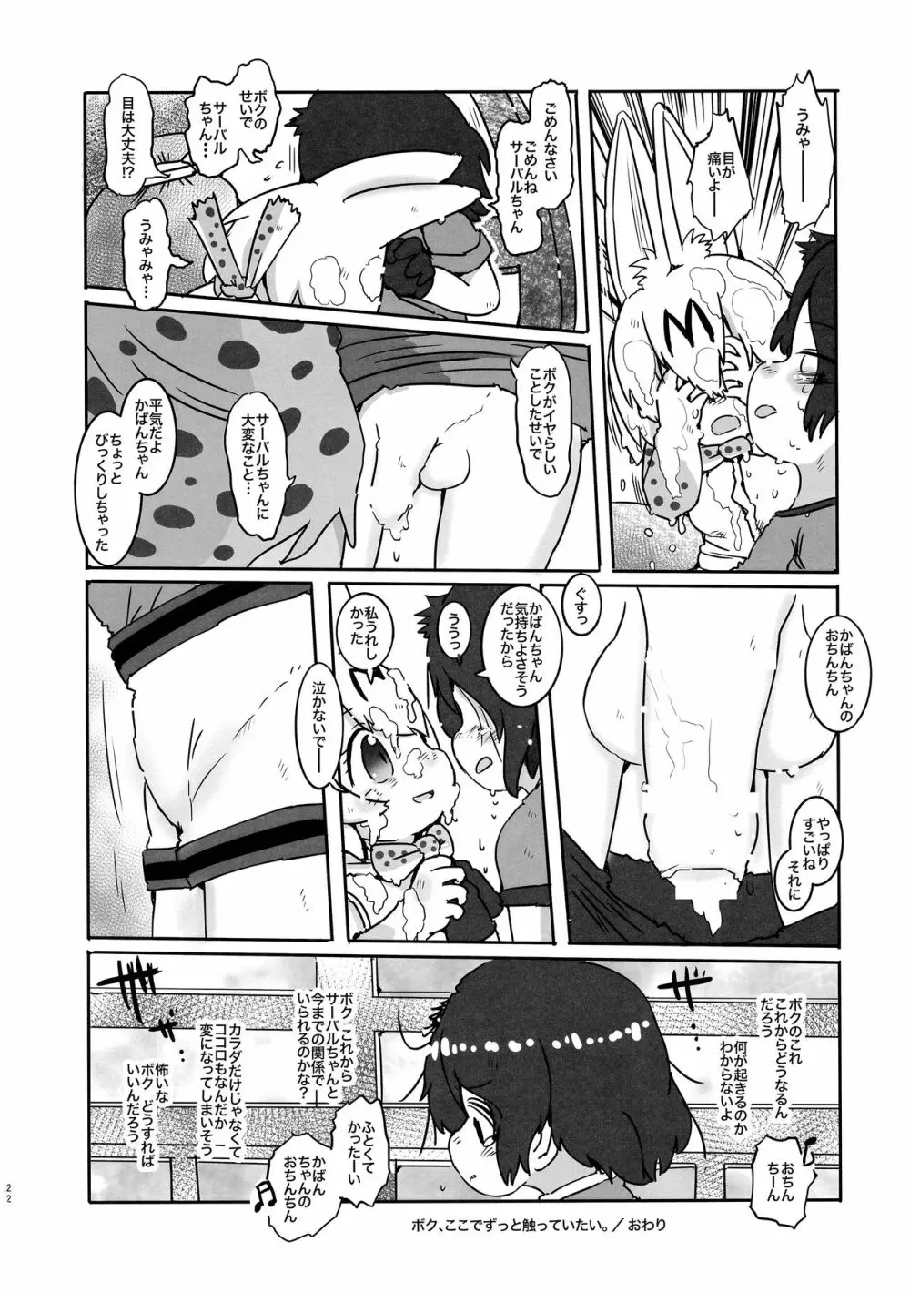 サンドスターのせいだから☆ - page22