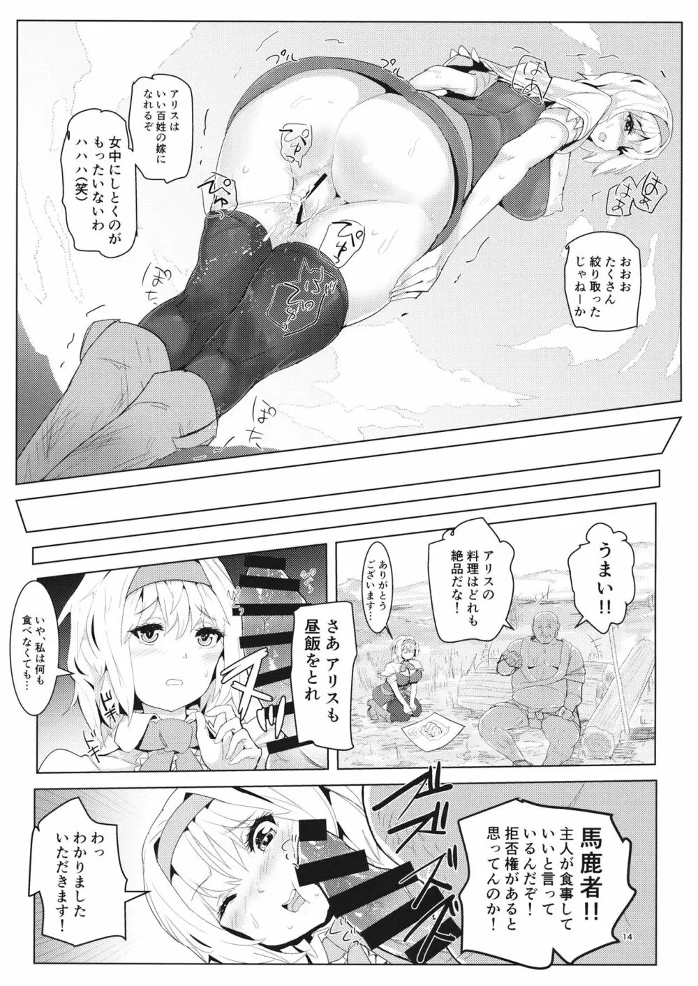 記憶喪失アリス 百姓奴隷性活 - page13