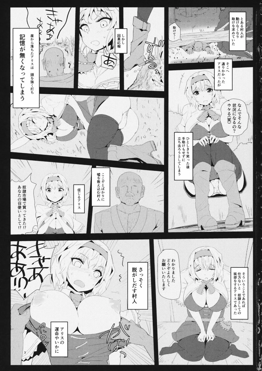 記憶喪失アリス 百姓奴隷性活 - page2