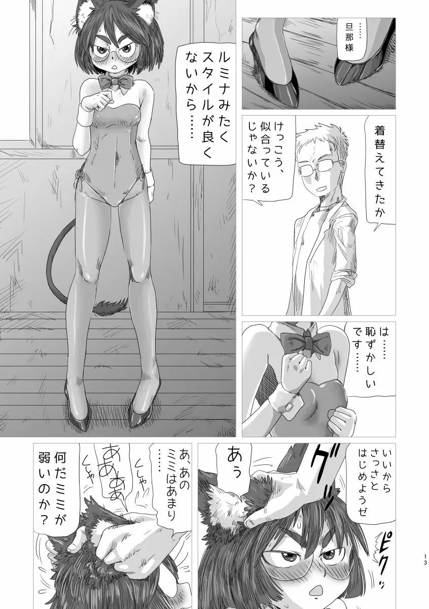 ルミクロ2 - page12