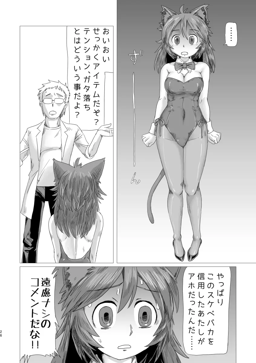 ルミクロ2 - page25