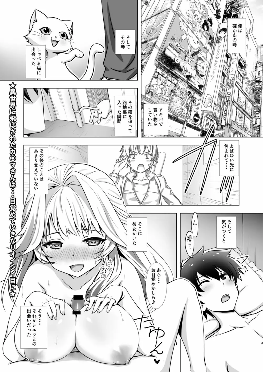 シエラと異世界農業生活 - page2