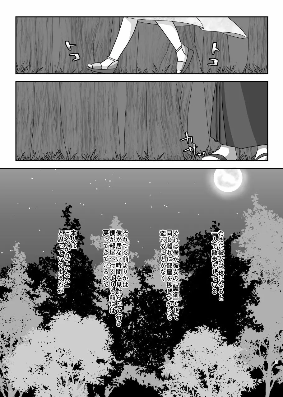 星花の万華鏡 - page3