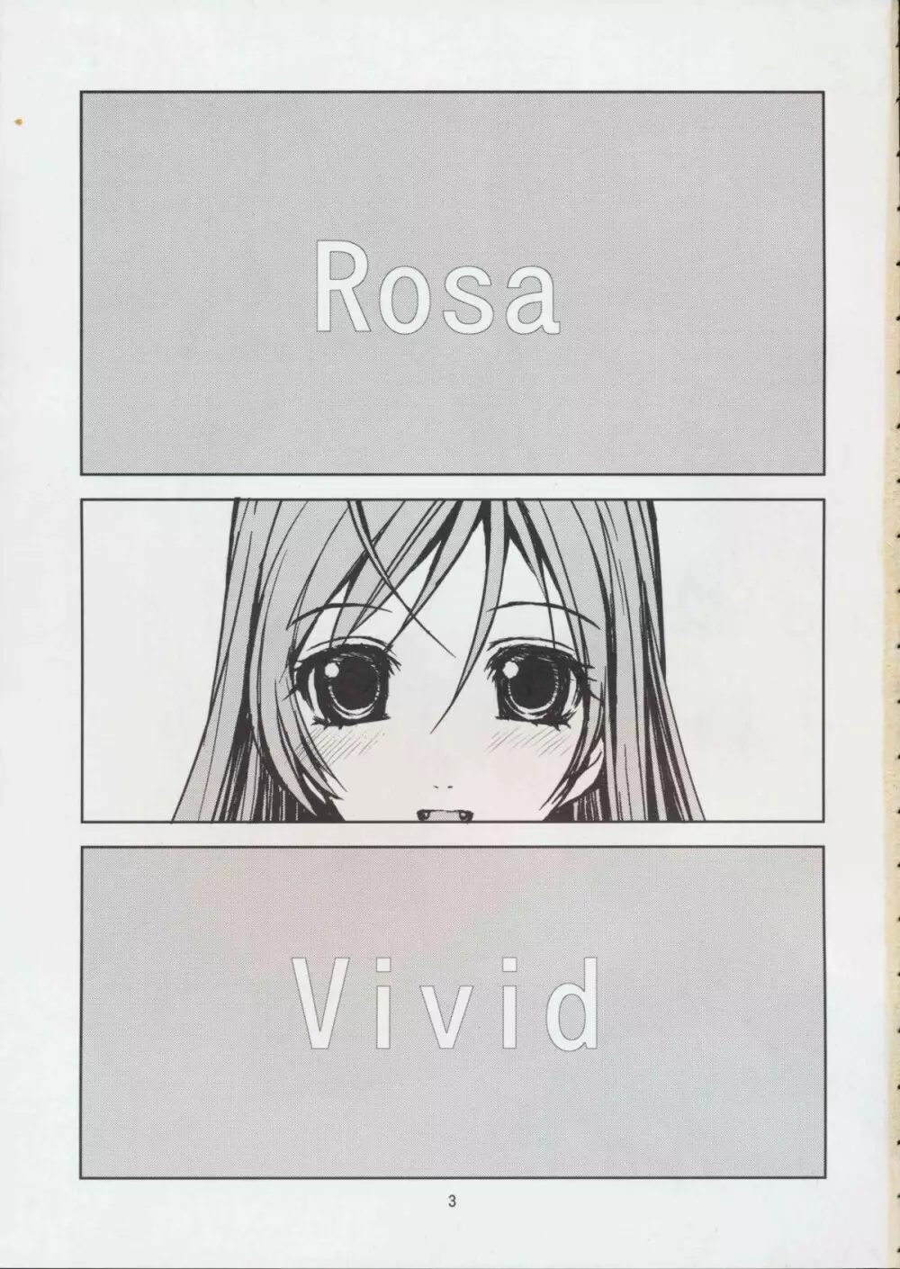 RV - Rosa Viva - page3