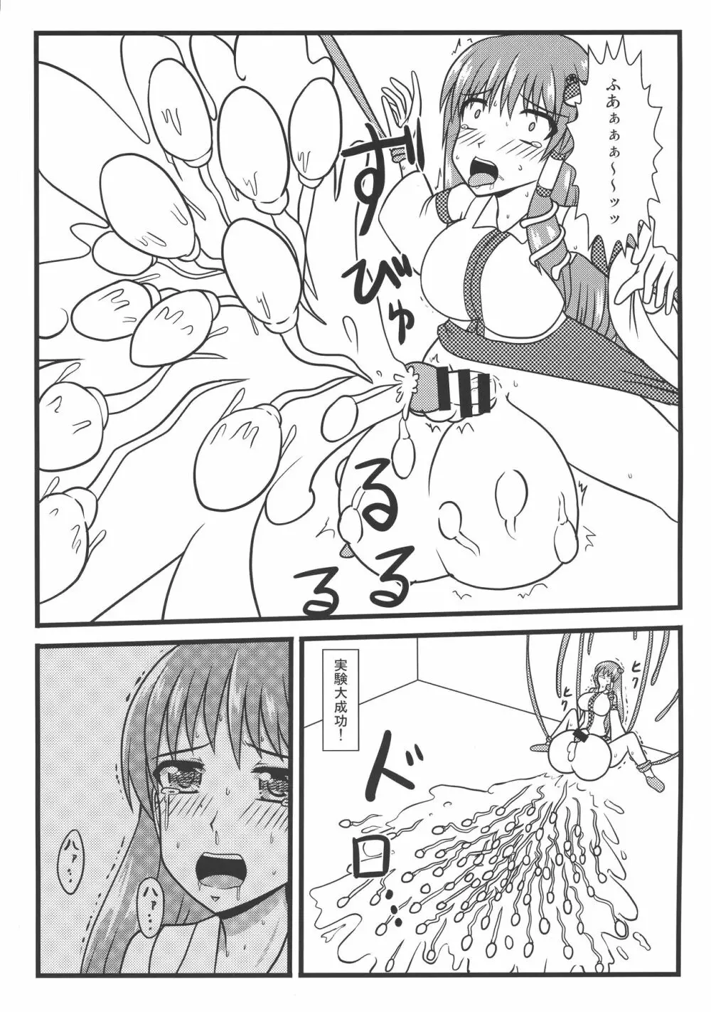 東方膨張系総合合同誌「膨女FINAL」 - page67