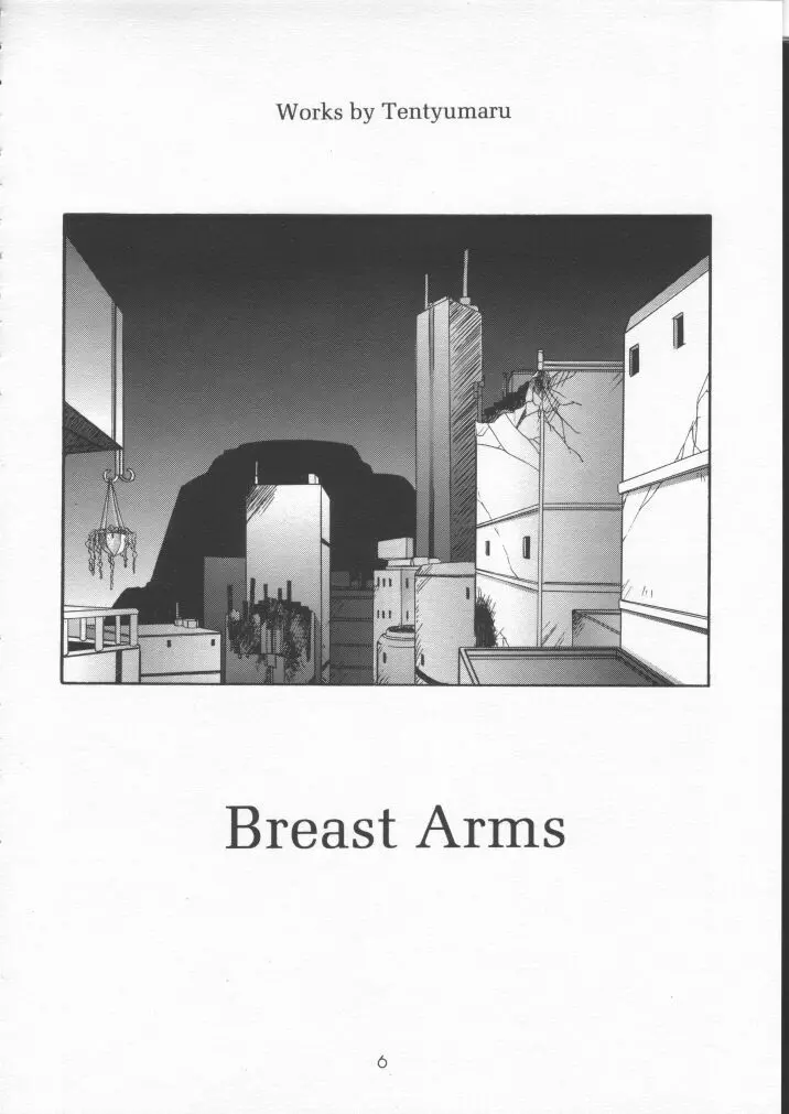 BREAST ARMS - page4