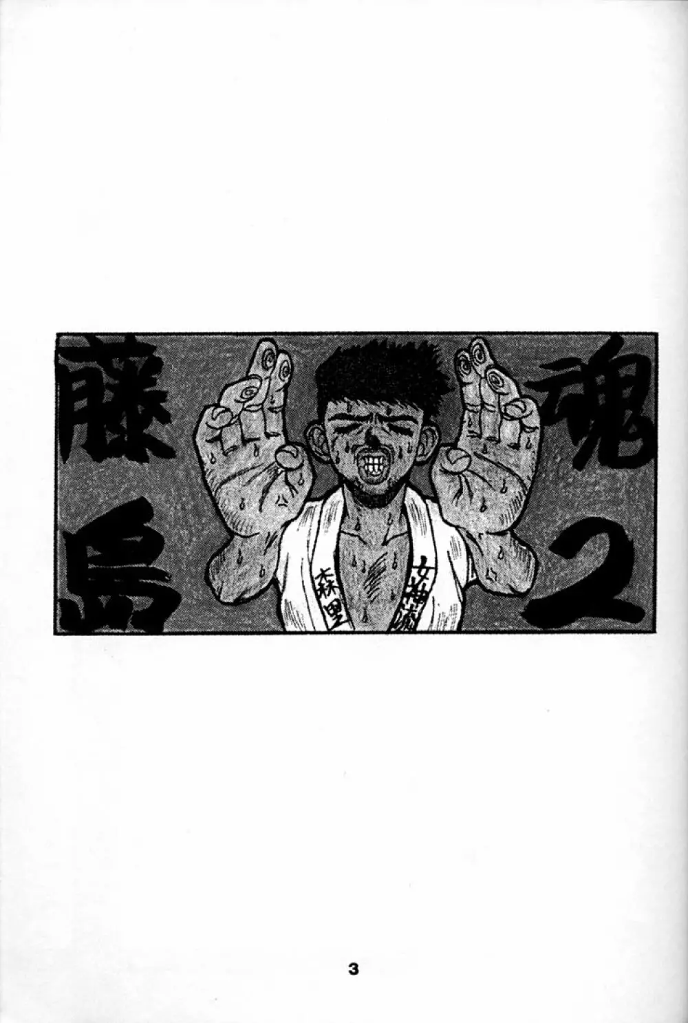 Fujishima Spirits 2 - page2