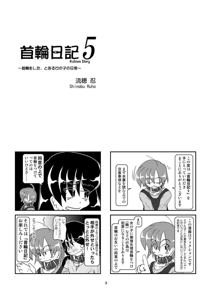 首輪日記 5 - page3