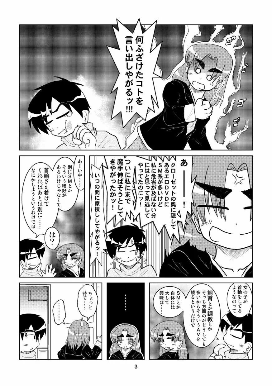 彼女に首輪を着ける - page4