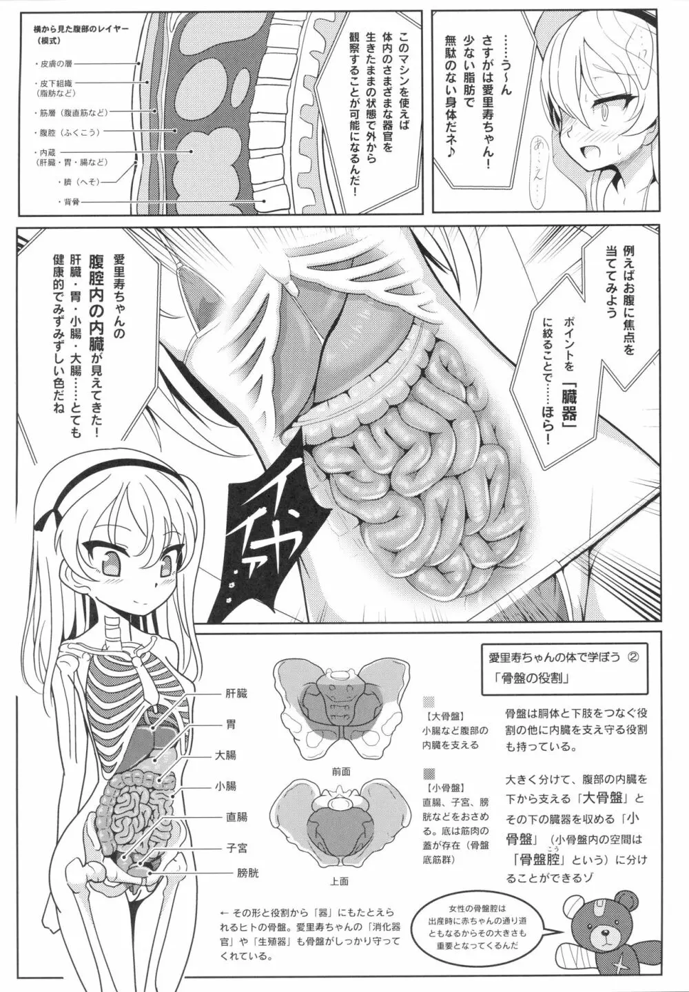 島田愛里寿ちゃんで学ぶ女の子の人体〈骨盤編〉上 - page11