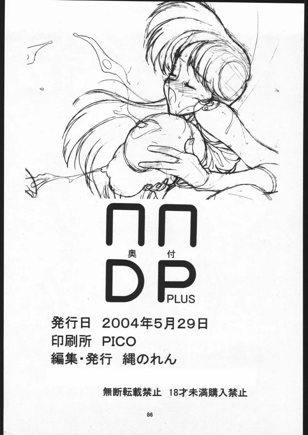 NNDP PLUS - page85