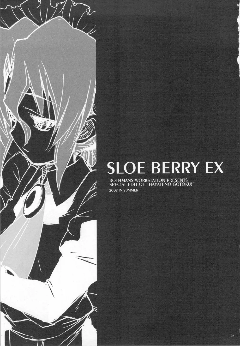 SLOE BERRY EX - page2