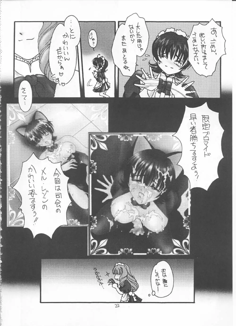 色里花組メイド浪漫 - page21