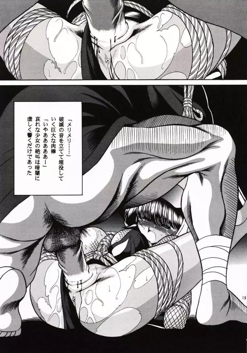 花忍武芸帳 - page18